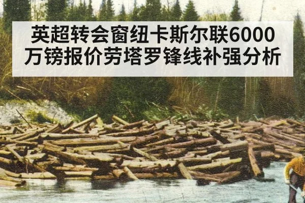 英超转会窗纽卡斯尔联6000万镑报价劳塔罗锋线补强分析